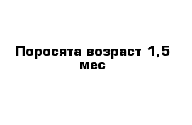 Поросята возраст 1,5 мес